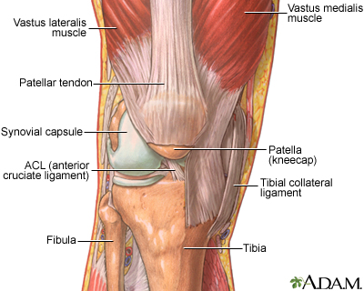 The structure of a joint