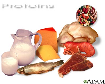 Protein in diet | Lima Memorial Health System