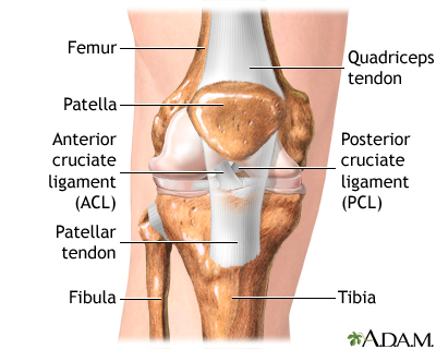 Anterior cruciate ligament repair - series