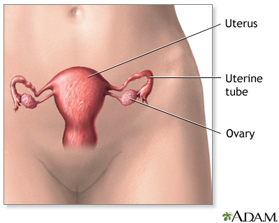 Hysterectomy | Lima Memorial Health System