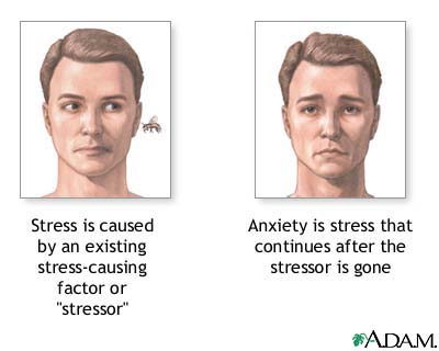 Stress and anxiety