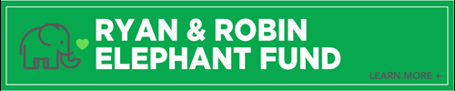 Ryan Robin Elephant Fund