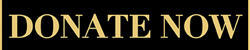 Donate Now button